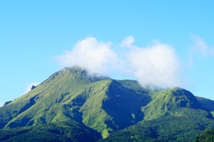 véhicule en Martinique