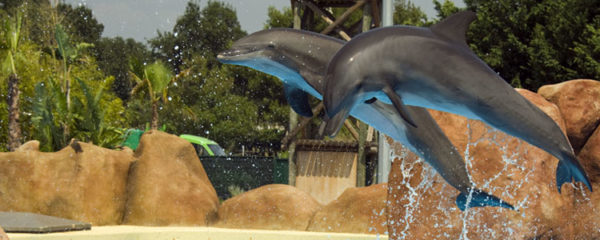 un week-end en famille dans un parc aquatique