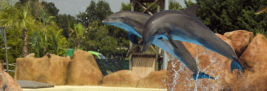 un week-end en famille dans un parc aquatique