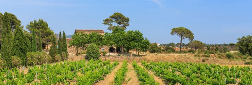 domaines viticoles